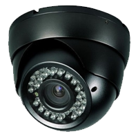 External Eyeball IR Dome Camera, 420TVL/620TVL/700TVL-30M