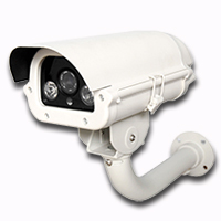 Digital Eye IP Cameras